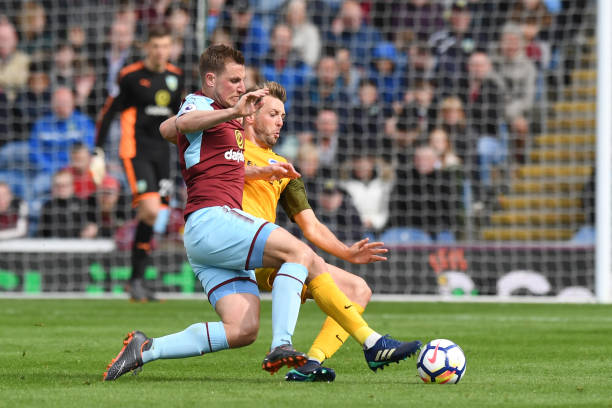 归化球员的 归化球员的