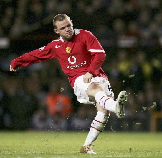 新的期待 新的期待